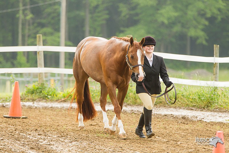 4H-FUN-060813-0040.jpg