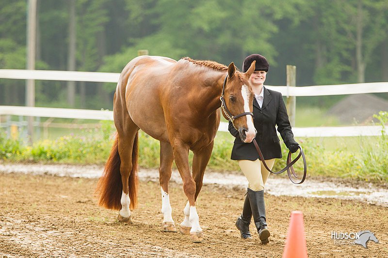 4H-FUN-060813-0041.jpg
