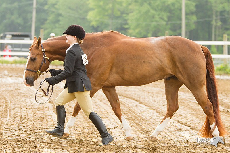4H-FUN-060813-0044.jpg