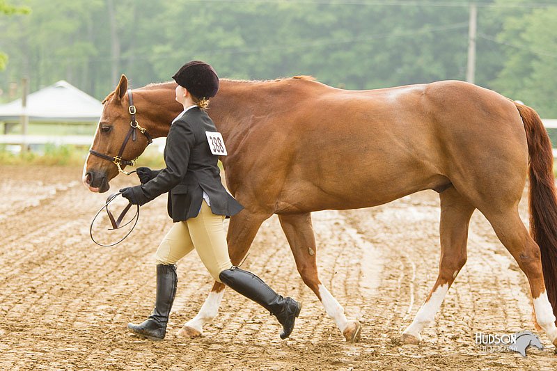 4H-FUN-060813-0045.jpg