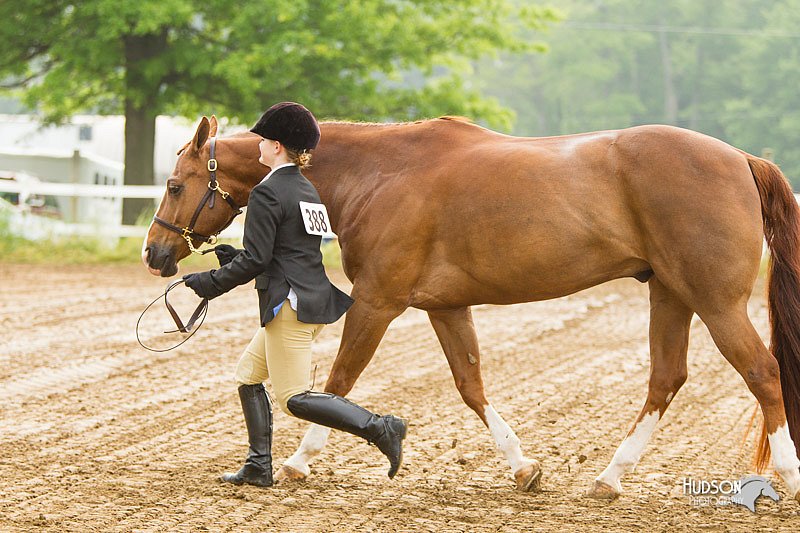 4H-FUN-060813-0046.jpg