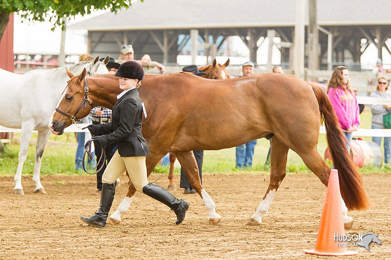4H-FUN-060813-0047.jpg