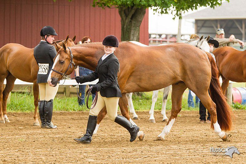 4H-FUN-060813-0048.jpg