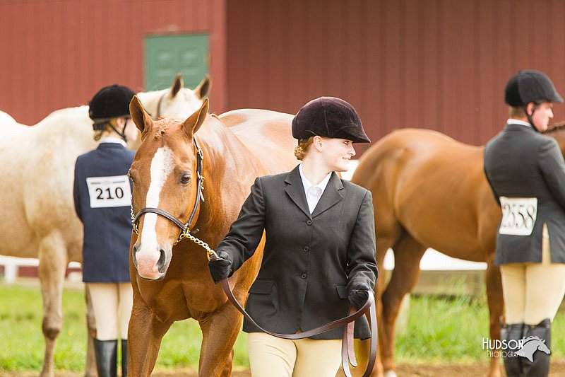 4H-FUN-060813-0049.jpg