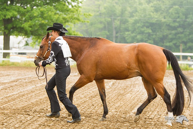 4H-FUN-060813-0054.jpg