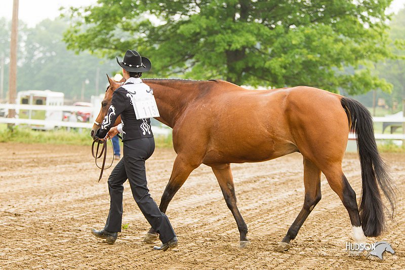 4H-FUN-060813-0055.jpg