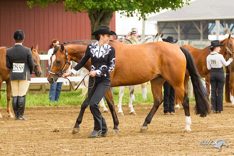 4H-FUN-060813-0056.jpg