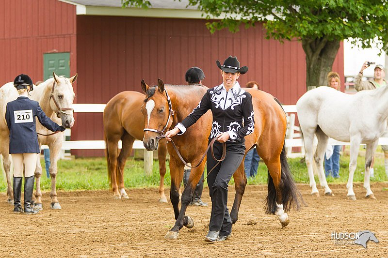 4H-FUN-060813-0057.jpg