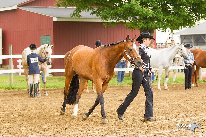 4H-FUN-060813-0058.jpg