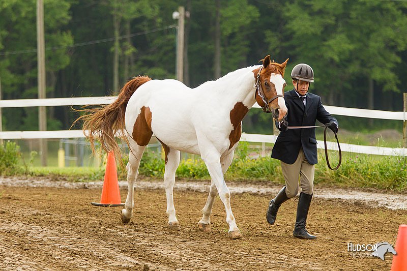4H-FUN-060813-0059.jpg