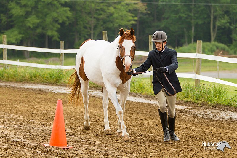 4H-FUN-060813-0061.jpg