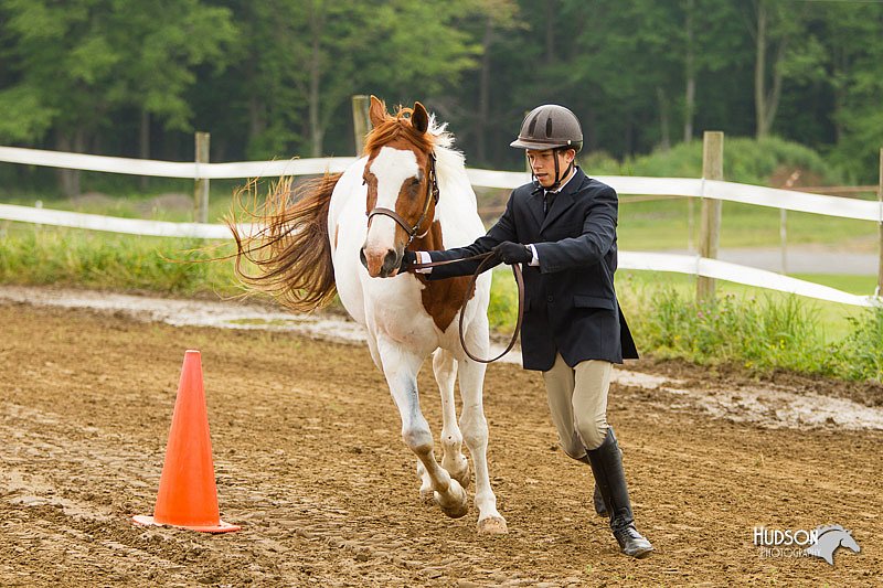 4H-FUN-060813-0062.jpg