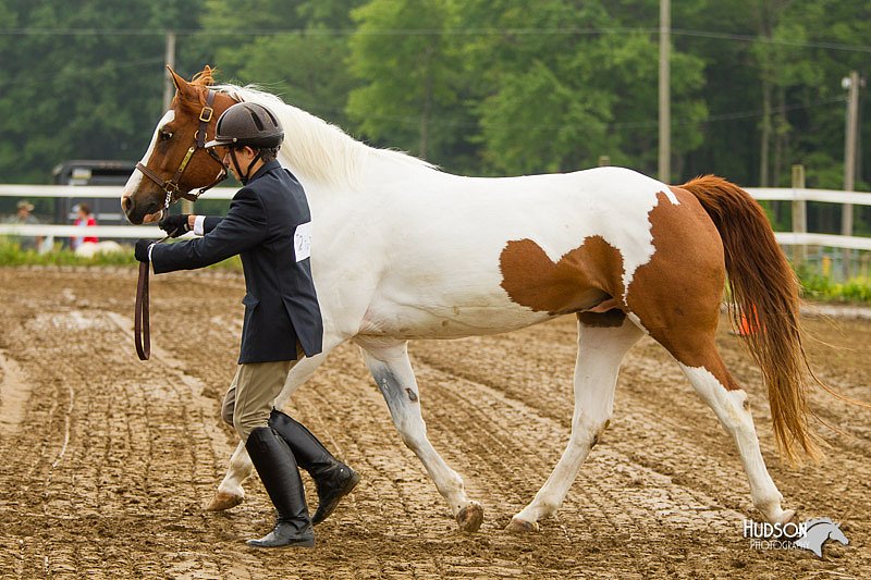 4H-FUN-060813-0063.jpg