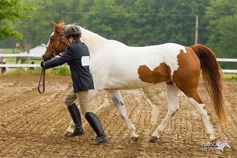 4H-FUN-060813-0064.jpg