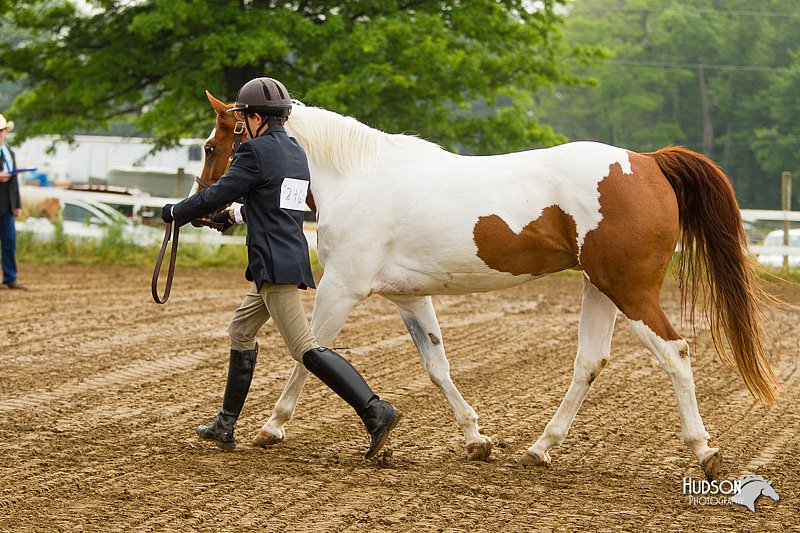 4H-FUN-060813-0065.jpg