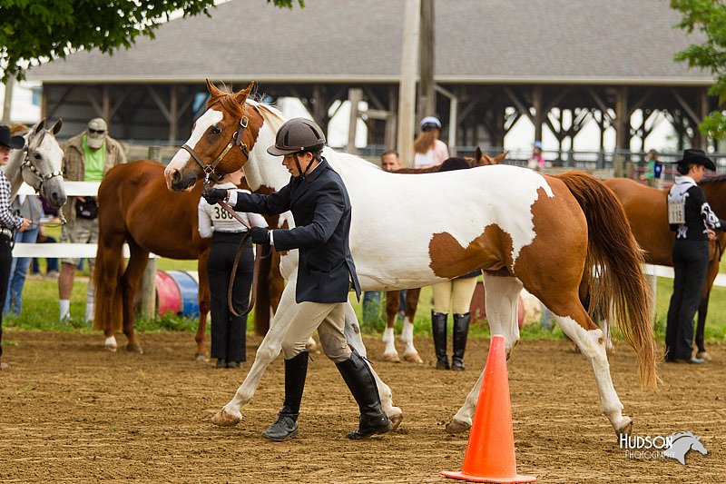 4H-FUN-060813-0066.jpg