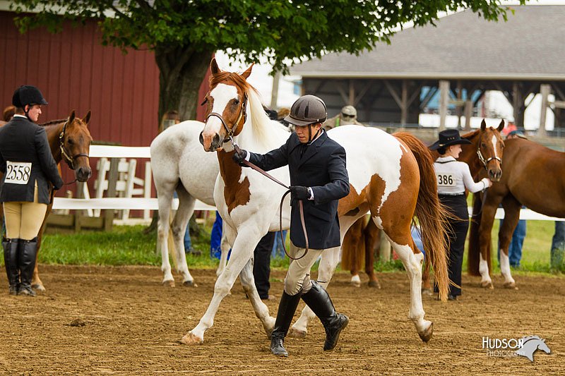 4H-FUN-060813-0067.jpg