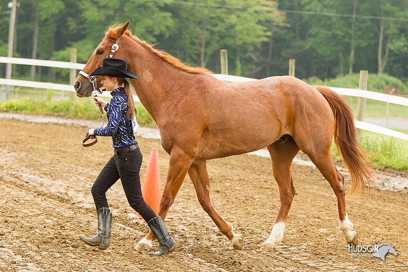 4H-FUN-060813-0069.jpg