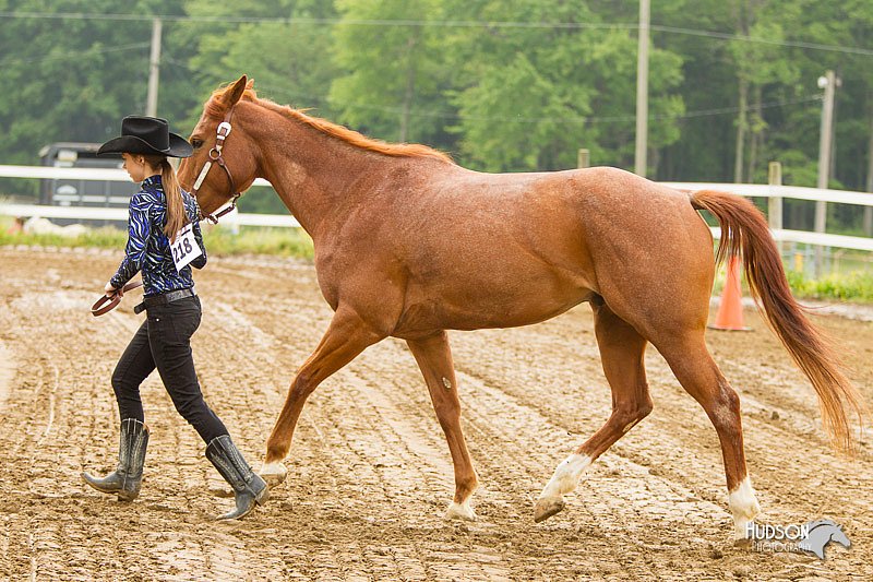 4H-FUN-060813-0070.jpg