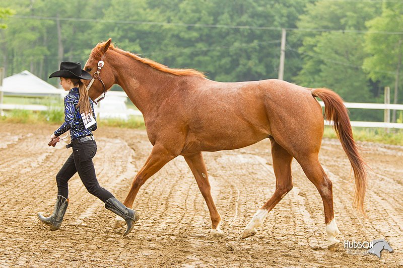 4H-FUN-060813-0071.jpg