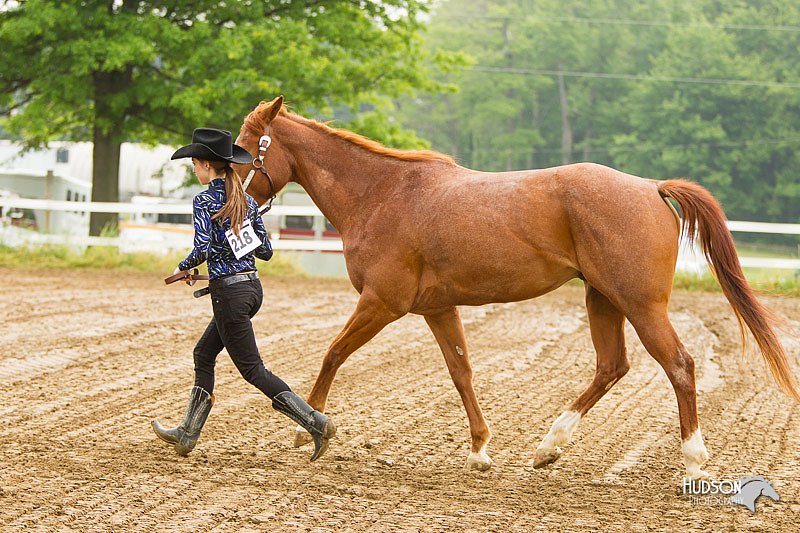 4H-FUN-060813-0072.jpg