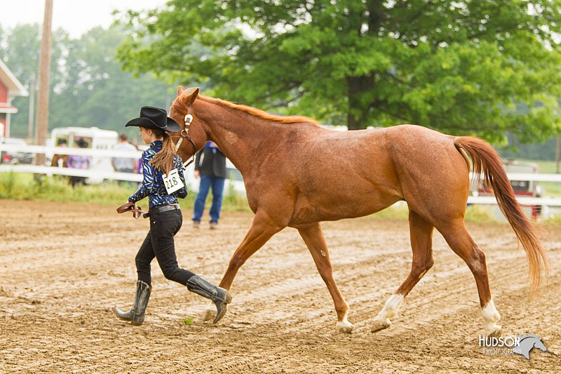 4H-FUN-060813-0073.jpg