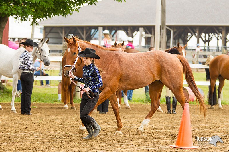 4H-FUN-060813-0074.jpg