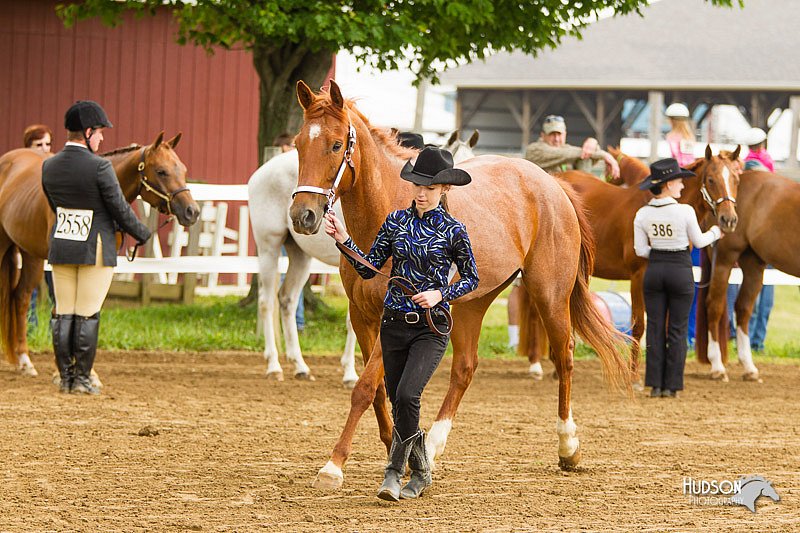 4H-FUN-060813-0075.jpg