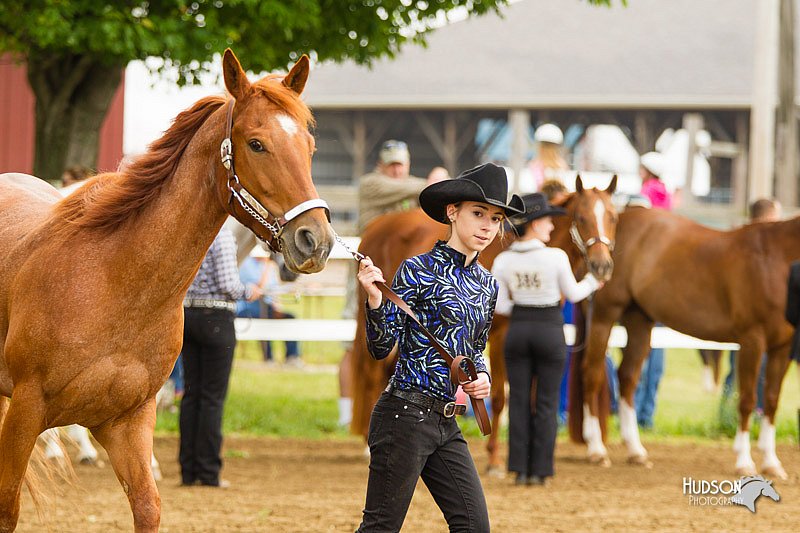 4H-FUN-060813-0076.jpg