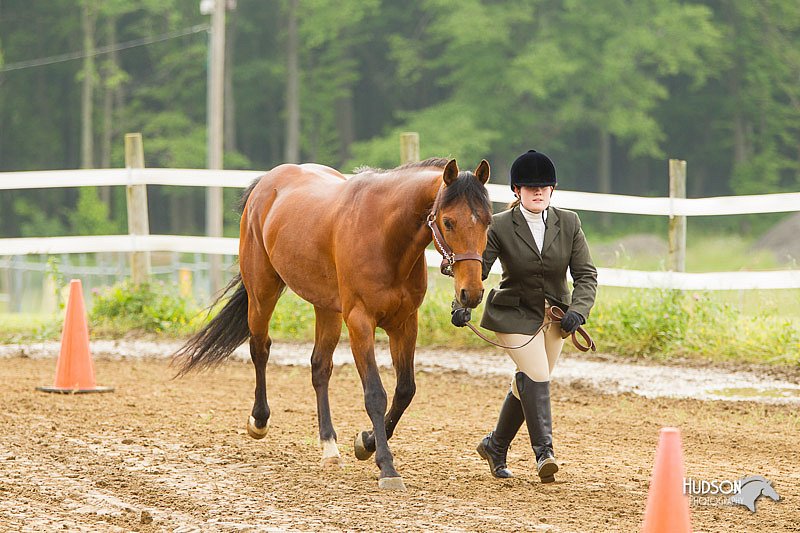 4H-FUN-060813-0077.jpg
