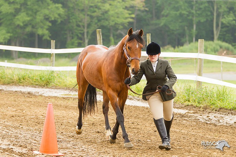 4H-FUN-060813-0078.jpg