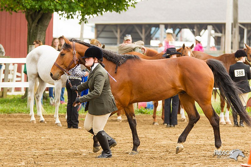 4H-FUN-060813-0080.jpg