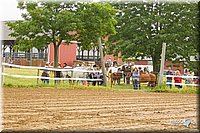 4H-FUN-060813-0016.jpg