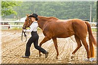 4H-FUN-060813-0034.jpg