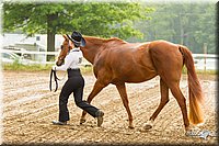 4H-FUN-060813-0035.jpg