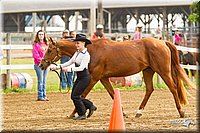 4H-FUN-060813-0036.jpg