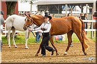 4H-FUN-060813-0037.jpg
