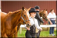 4H-FUN-060813-0039.jpg