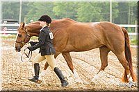 4H-FUN-060813-0044.jpg