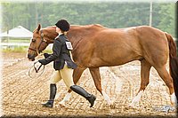 4H-FUN-060813-0045.jpg