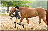4H-FUN-060813-0046.jpg