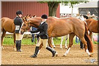 4H-FUN-060813-0048.jpg