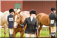 4H-FUN-060813-0049.jpg