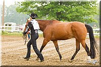 4H-FUN-060813-0055.jpg