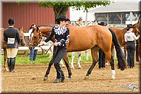 4H-FUN-060813-0056.jpg