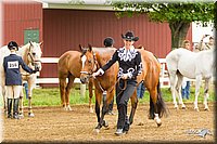 4H-FUN-060813-0057.jpg