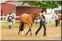 4H-FUN-060813-0058.jpg