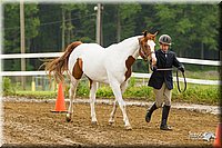 4H-FUN-060813-0059.jpg