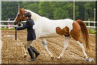 4H-FUN-060813-0063.jpg