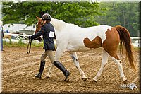 4H-FUN-060813-0065.jpg